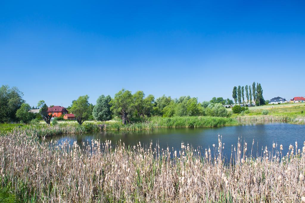 Bed and Breakfast Zloty Staw Borkowo  Esterno foto